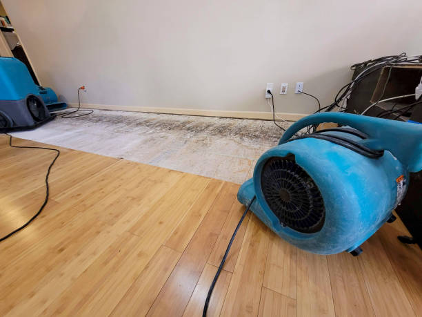 Professional Ceiling Water Damage Repair technician working in Barnum, MN